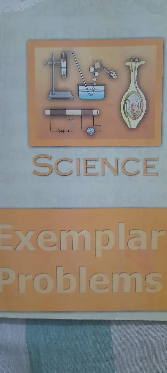 NCERT EXAMPLAR